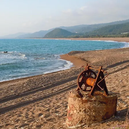 Irida Кипарисия